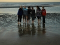 Walia032
