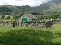 Walia035